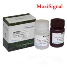 SuperBright MaxiSignal ECL Kit...