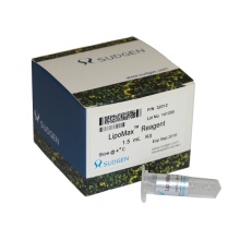 Transfection Reagent